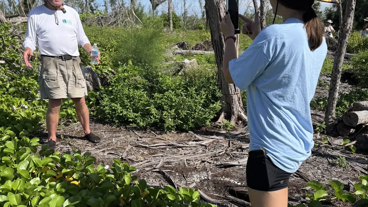 Siesta Media filming a Sarasota Bay Watch volunteer on location in the mangroves