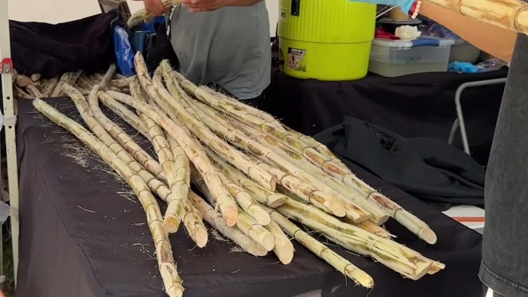 An SRQ Weekly segment at a Sarasota night market, filmed by Siesta Media