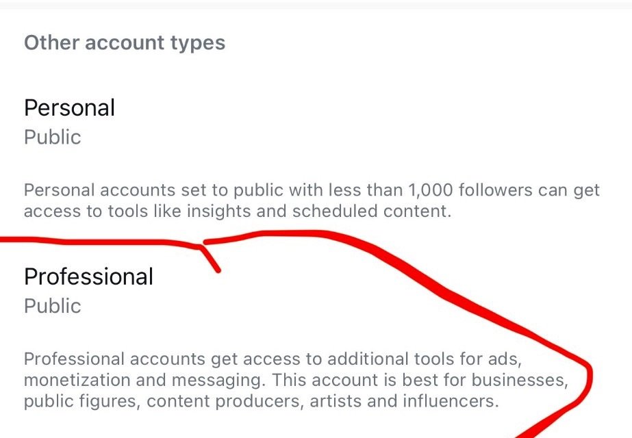 Instagram Account type screen with the Professional public option circled
